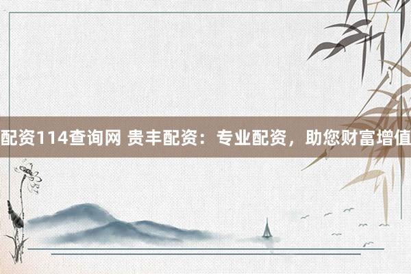 配资114查询网 贵丰配资：专业配资，助您财富增值