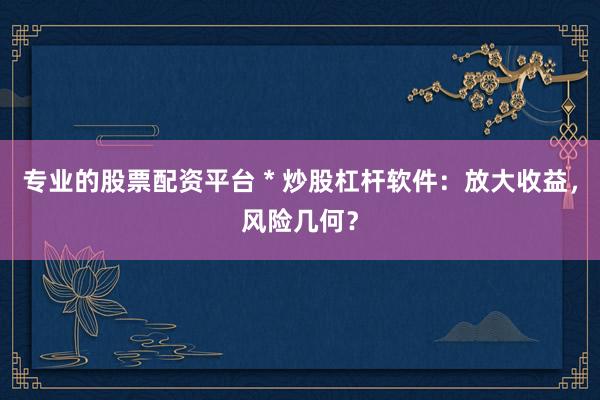 专业的股票配资平台 * 炒股杠杆软件：放大收益，风险几何？