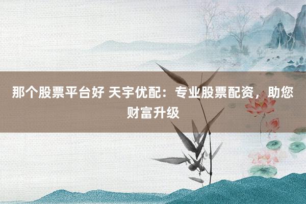 那个股票平台好 天宇优配：专业股票配资，助您财富升级
