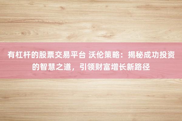 有杠杆的股票交易平台 沃伦策略：揭秘成功投资的智慧之道，引领财富增长新路径