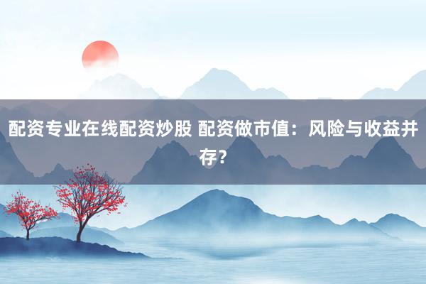 配资专业在线配资炒股 配资做市值：风险与收益并存？