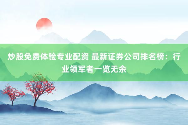 炒股免费体验专业配资 最新证券公司排名榜：行业领军者一览无余