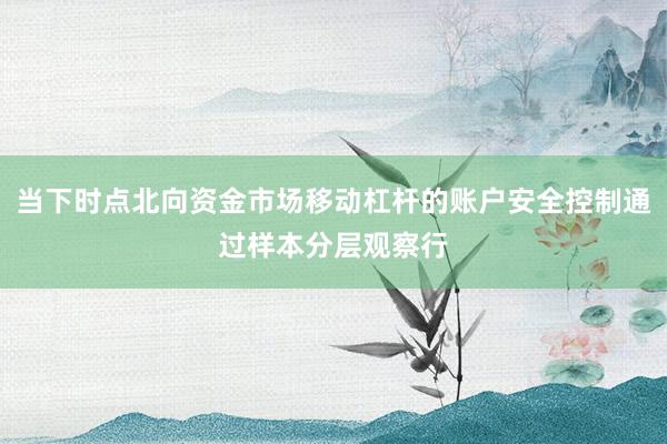 当下时点北向资金市场移动杠杆的账户安全控制通过样本分层观察行