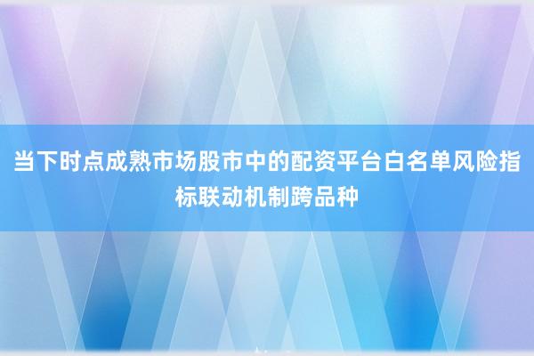 当下时点成熟市场股市中的配资平台白名单风险指标联动机制跨品种