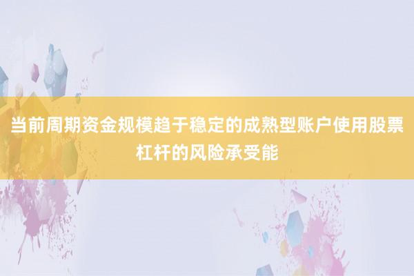 当前周期资金规模趋于稳定的成熟型账户使用股票杠杆的风险承受能