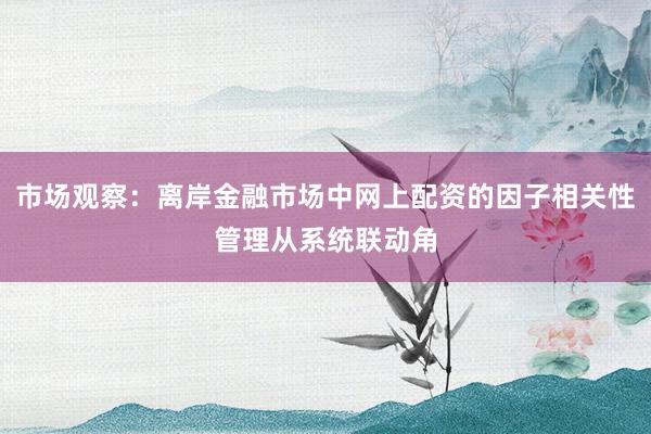 市场观察:离岸金融市场中网上配资的因子相关性管理从系统联动角