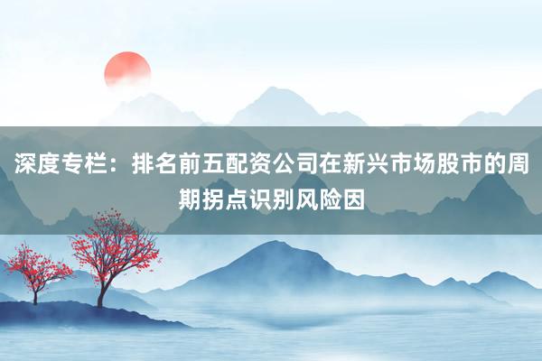 深度专栏：排名前五配资公司在新兴市场股市的周期拐点识别风险因