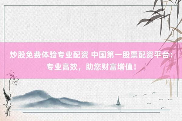炒股免费体验专业配资 中国第一股票配资平台：专业高效，助您财富增值！