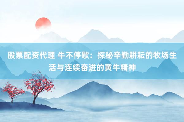 股票配资代理 牛不停歇：探秘辛勤耕耘的牧场生活与连续奋进的黄牛精神