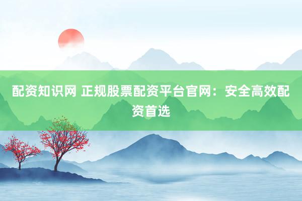 配资知识网 正规股票配资平台官网：安全高效配资首选