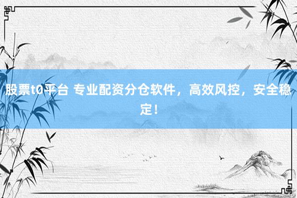 股票t0平台 专业配资分仓软件，高效风控，安全稳定！
